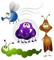 grubs grubs