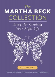 MBCollection-Vol1