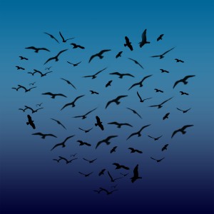 flying birds in the shape of a heart against blue background