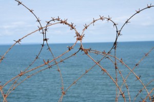 barbed wire in the shape of a heart with ocean background