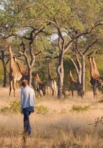 Martha Beck standing in field with giraffes on safari