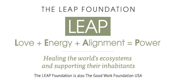 leap_header_white