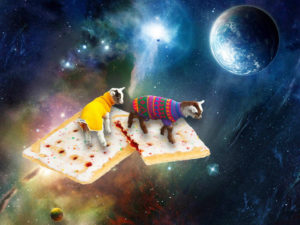 cats in sweaters standing on giant Poptarts floating in space with the earth in the distance