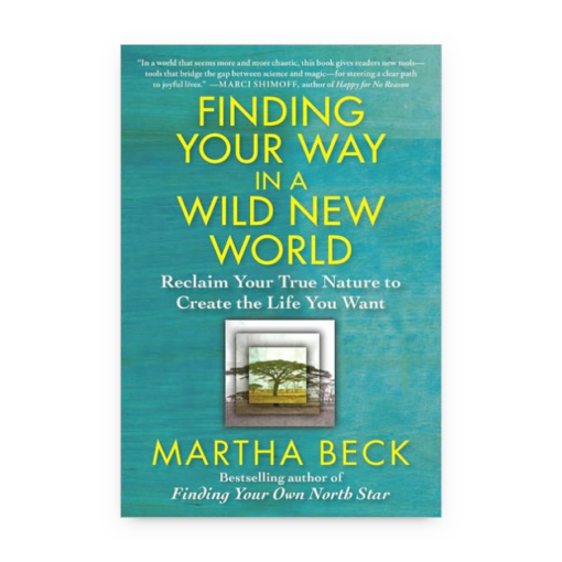 Finding Your Way in a New World: Reclaim Your True Nature to Create the Life You want by Martha Beck book cover