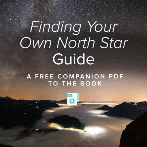 starry night sky and text that says Finding Your Own North Star Guide A Free Companion PDF to the Book