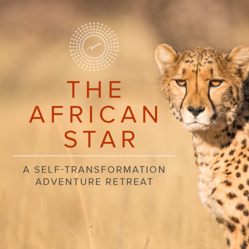 Cheetah in the wild with text that says The African Star A Self-Transformation Adventure Retreat