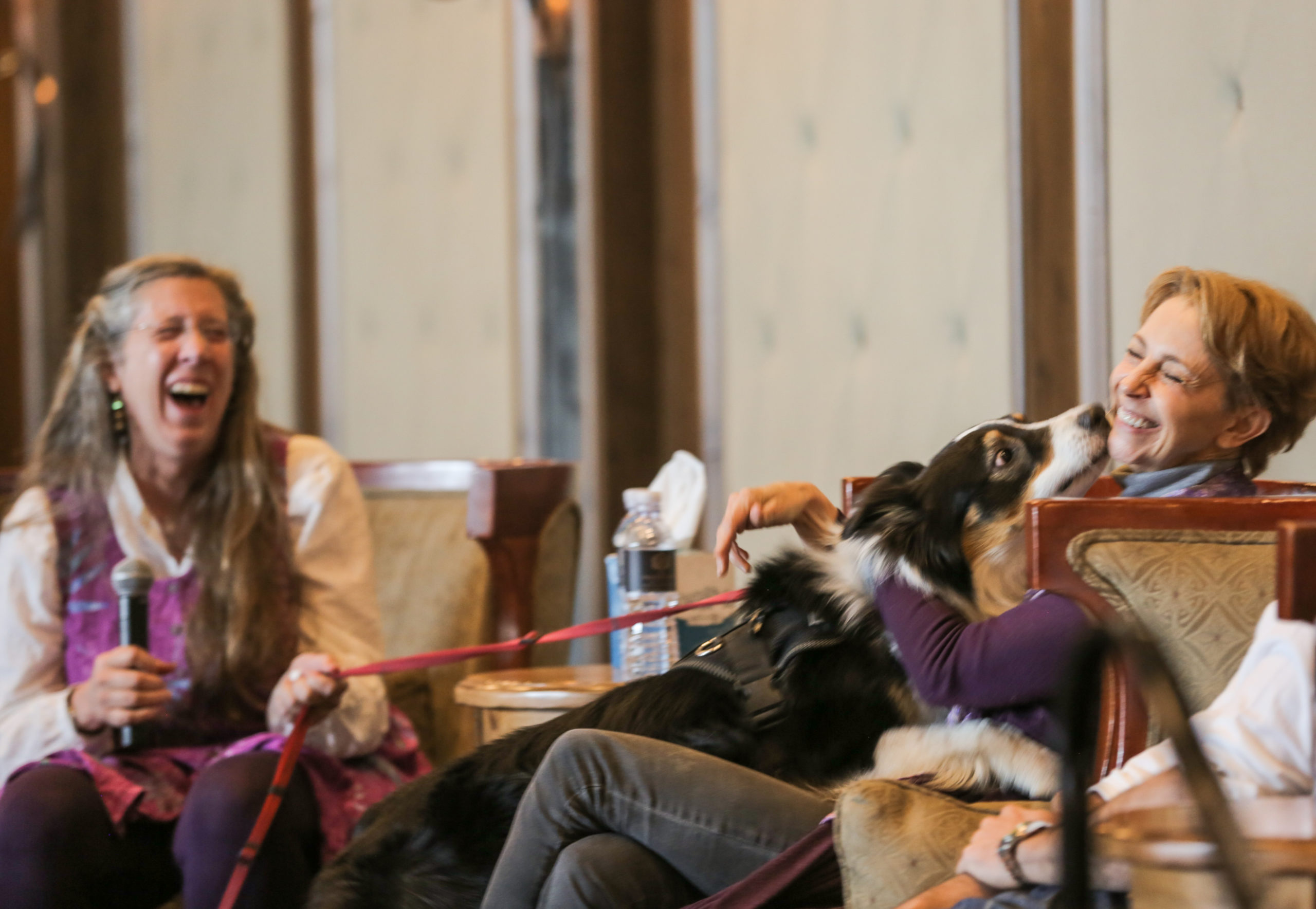 dog kissing Martha Beck while she's speaking on a panel