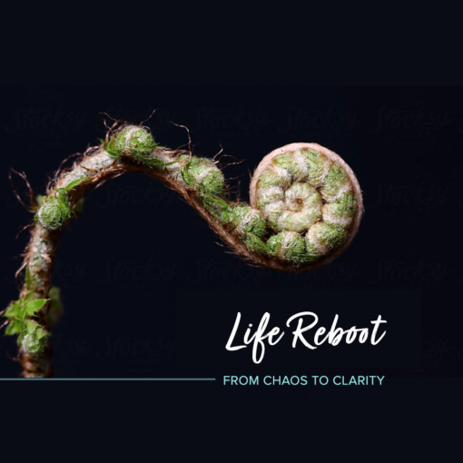 close up of plant stem in a spiral with text that says Life Reboot From Chaos to Clarity