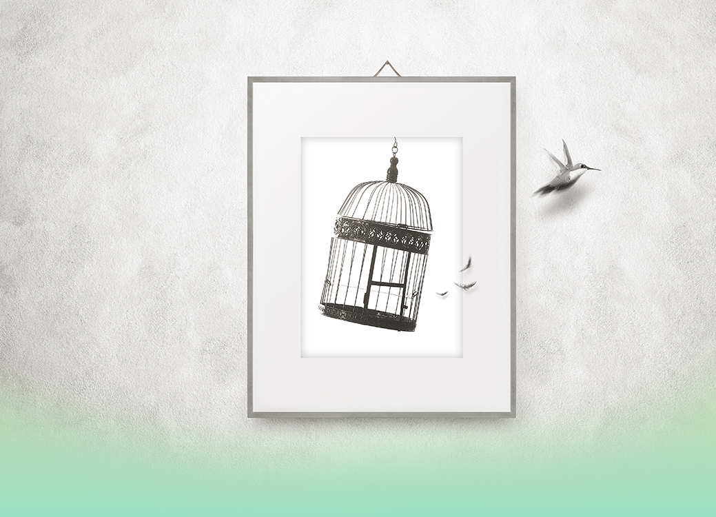 cartoon bird flying away out of a hanging framed drawing of a birdcage