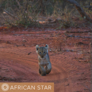 African STAR 2024 - Martha Beck