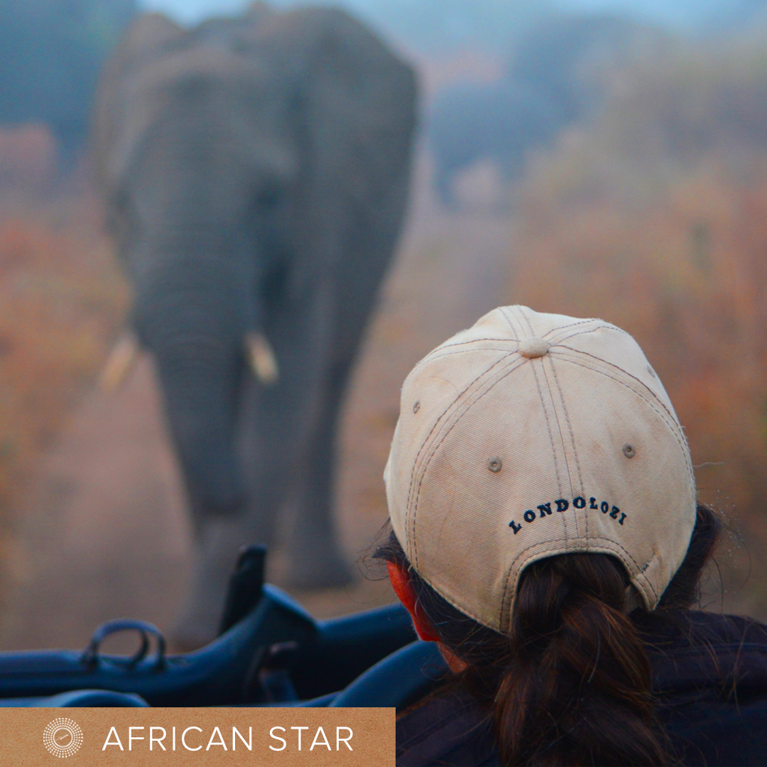 African Star logo on photo of woman in Londolozi baseball cap watching an elephant walk towards her