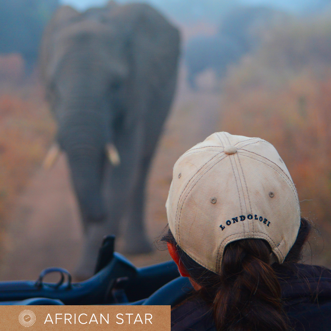 Elephant walking towards a woman wearing a Londolozi hat in the morning haze.